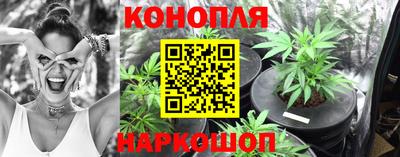 трава Аргун