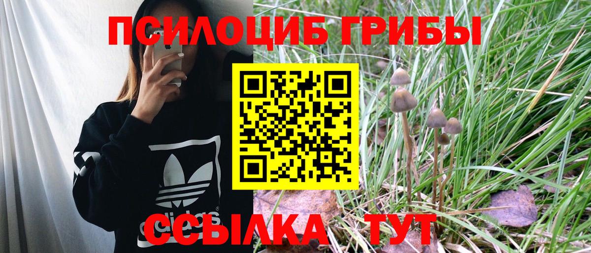 Псилоцибиновые грибы ЛСД Барнаул